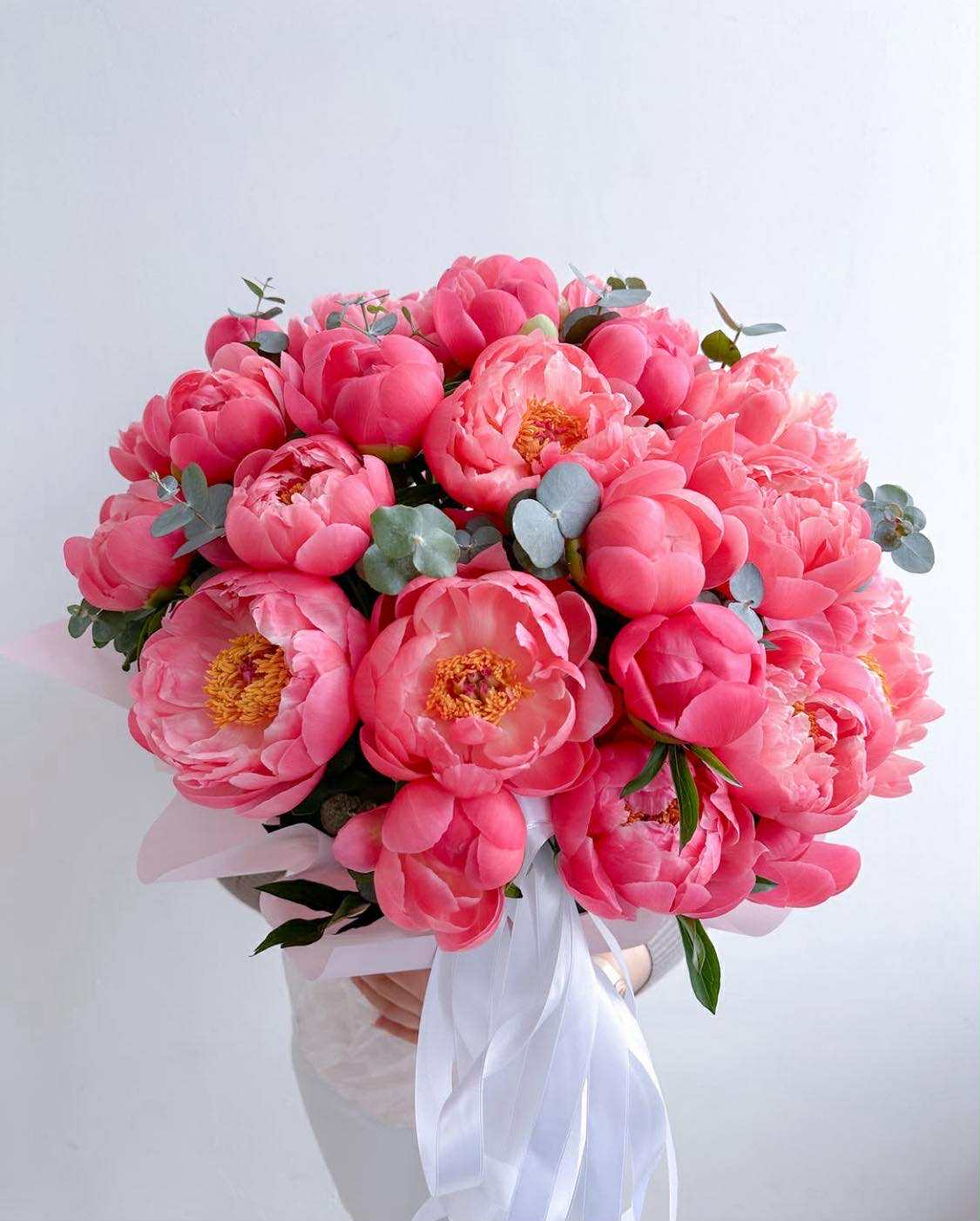 Coral Charm Peony Delight