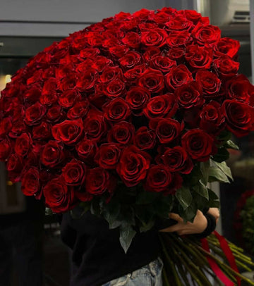 Crimson Majesty Red Roses