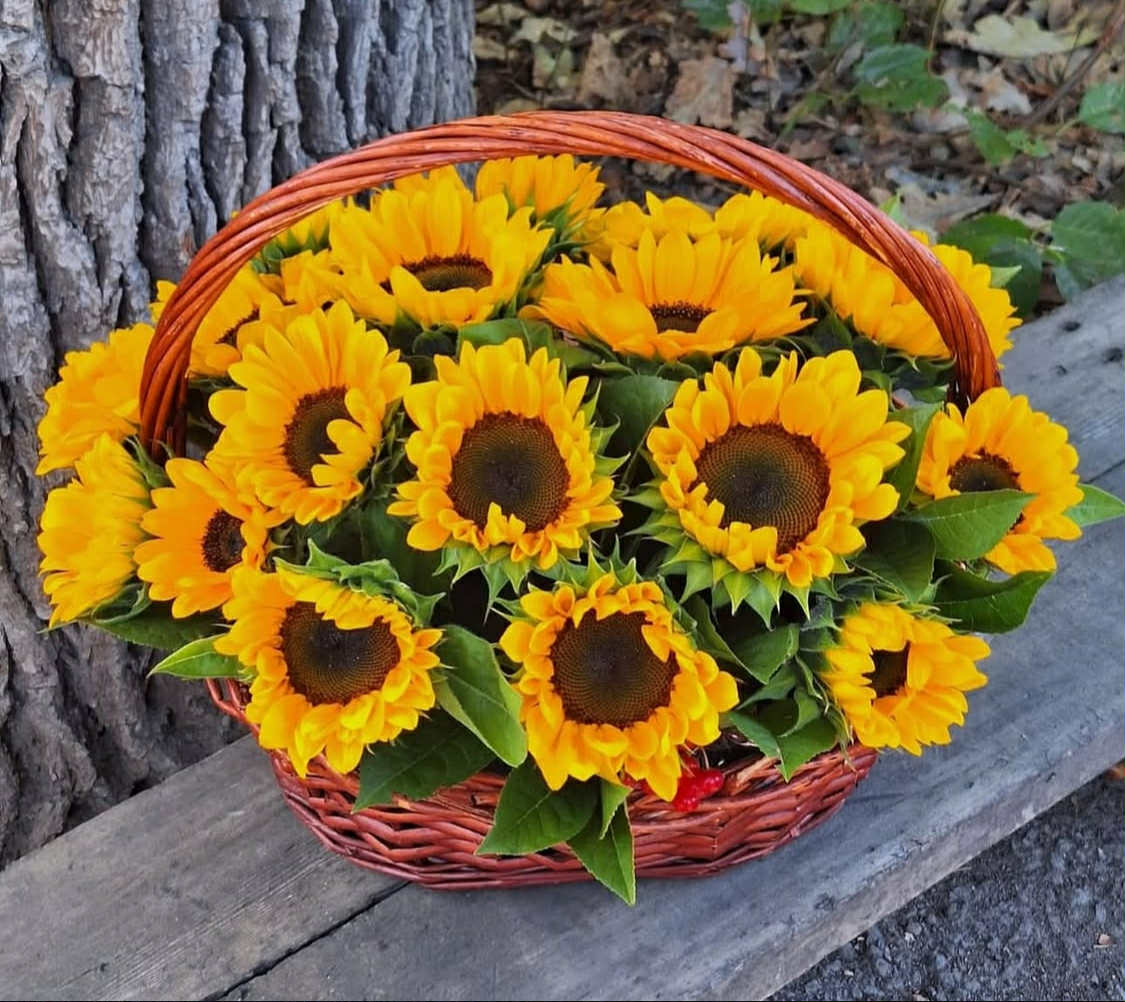 Golden Harvest Basket