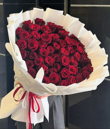 Scarlet Elegance Roses