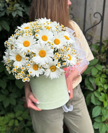 Sunny Meadow Box